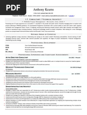 Professional CV Format
