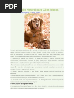 Alimentação Natural para Cães Idosos