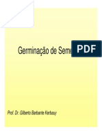 Germinacao Gilberto