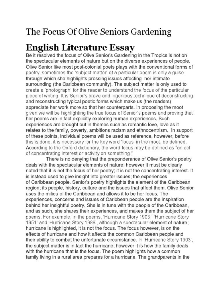 The focus of olive seniors gardening english literature essay picture