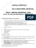 Apostila Anatomia e Morfologia Vegetal - 2011