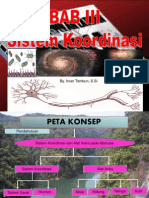 Sistem Koordinasi