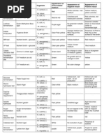 Biochemical Test Microbiology