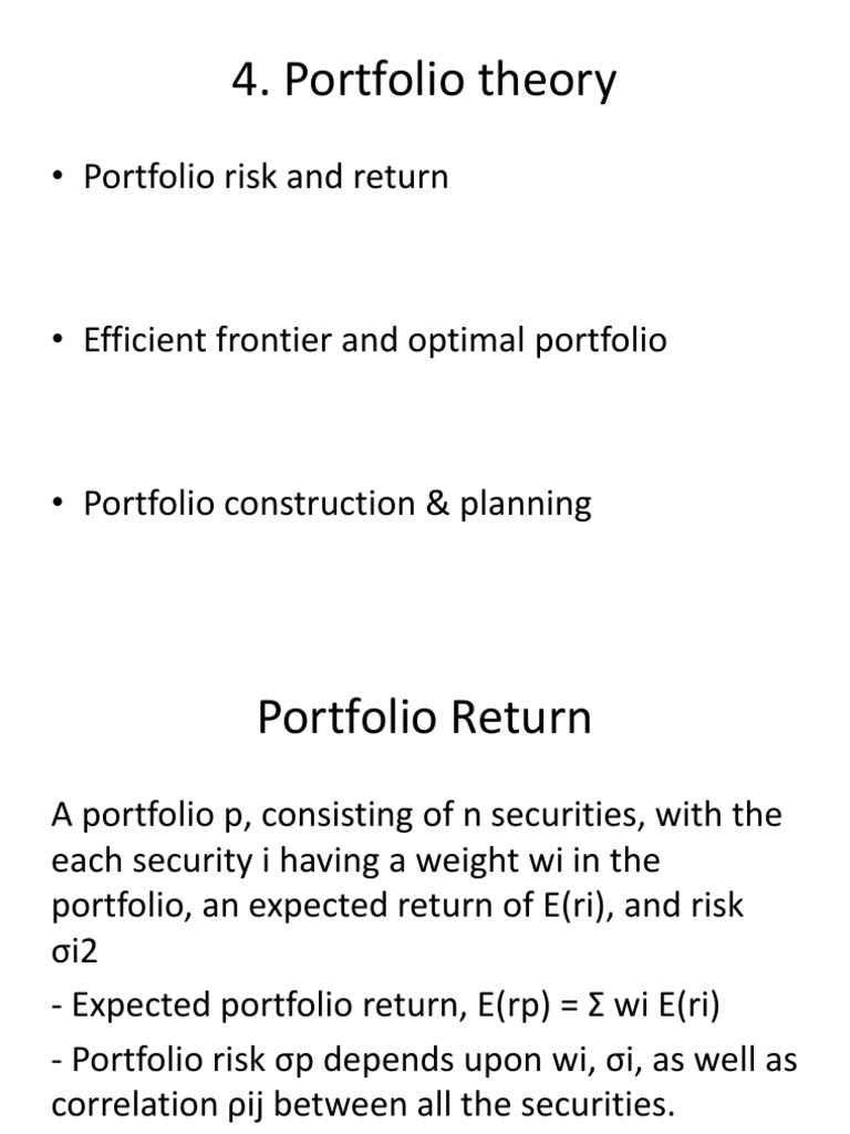 Portfolio Theory PDF Investing Business Economics