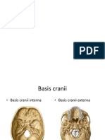 Basis Cranii