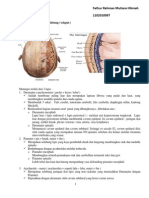 Meninges Makro Mikro