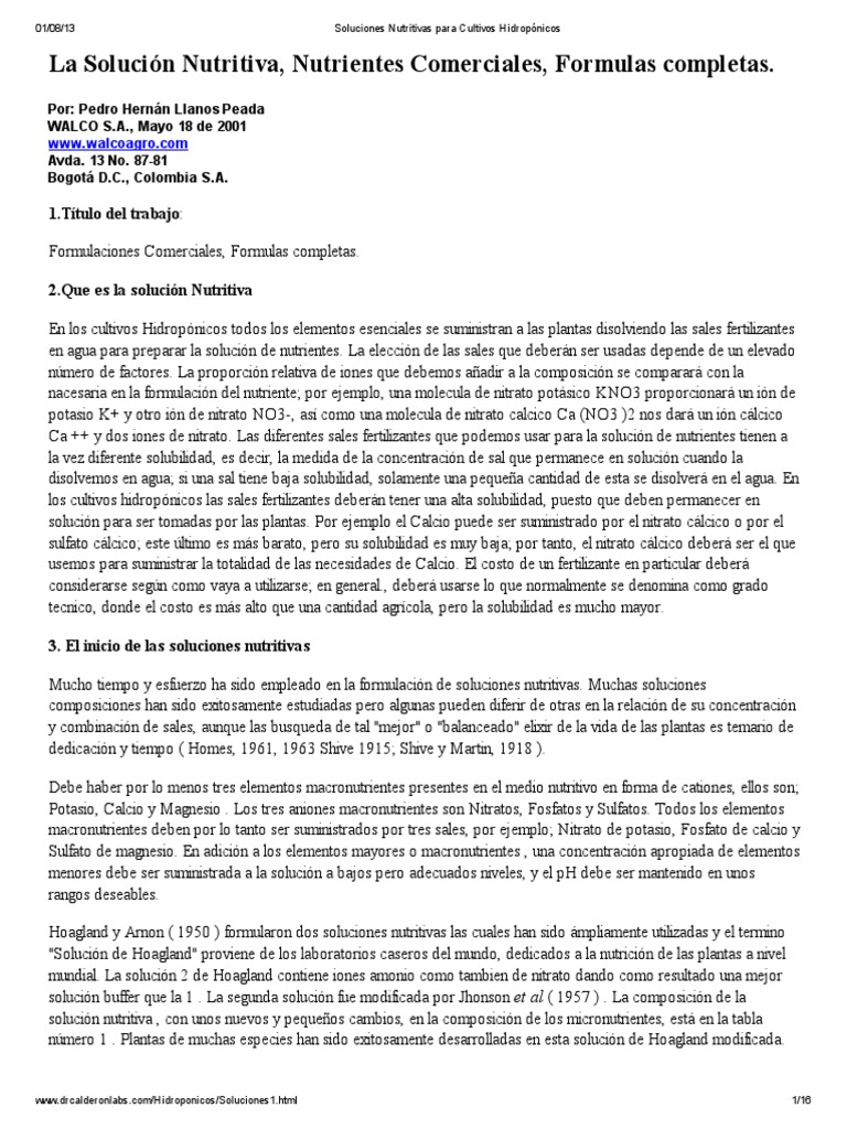Derrochador Para Cincelar Lechuga Hidropnica Antao Todo Esto