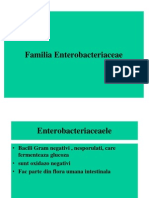 enterobacteriaceae