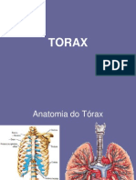 Torax