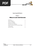 Download Improving Self-Esteem Module 1 of 9 by valeria_kendall6388 SN169267497 doc pdf