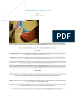 Three phases joint evaluation: capsule, ROM, load test