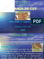 crianza-de-cuy-1232809176592416-32-120430170247-phpapp02