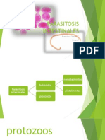 PARASITOSIS INTESTINALES.pptx
