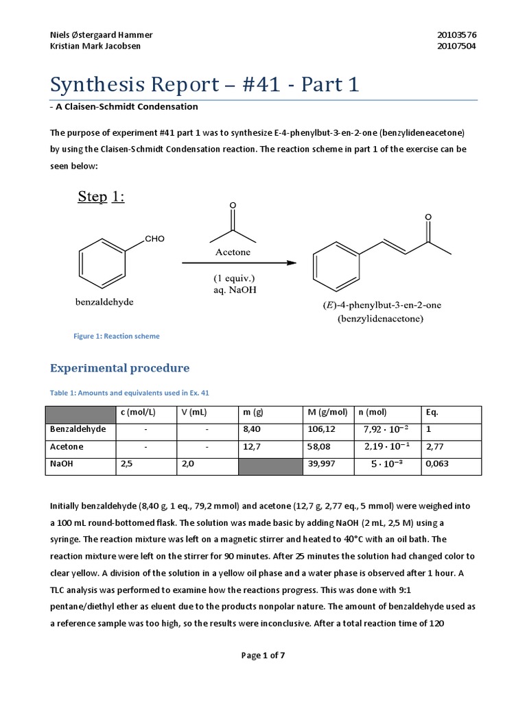 what is the meaning synthesis report