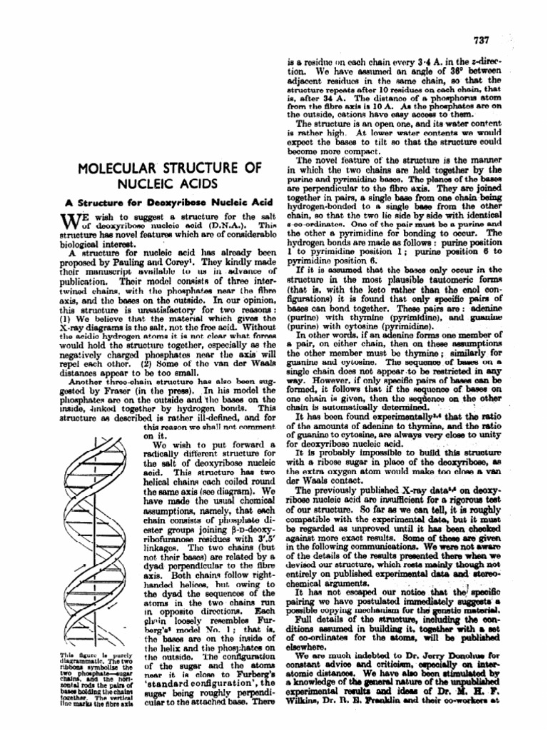 Watson and Crick 1953 Molecular Structure of Nucleic Acids PDF Macromolecules Molecular
