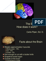 The Brain: How Does It Work?: Carla Piper, Ed. D