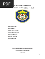 Download MAKALAH BAKTERIOLOGI by Jerrin Avionita SN169357492 doc pdf