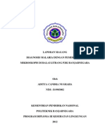 Download Diagnosis Malaria Dengan Pemeriksaan Parasit by dies SN169363506 doc pdf