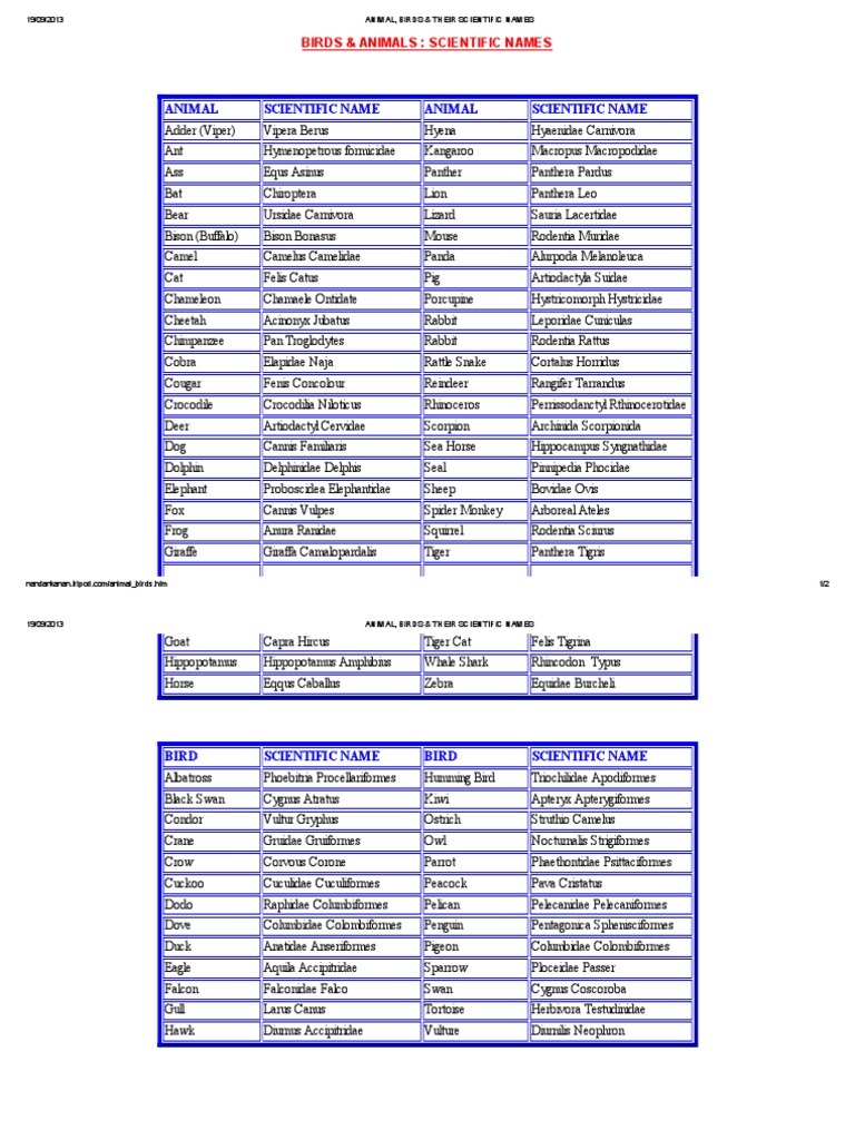 Animal Birds Their Scientific Names Pdf