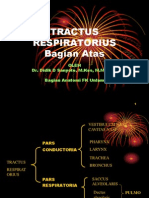 Sistem Respirasi Bagian Atas (Tractus Respiratorius Bagian Atas)