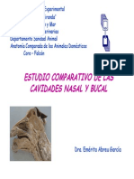 CAVIDADESBUCALYNASAL-COMPARADA