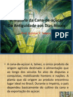 A História da Cana-de-açúcar.pdf