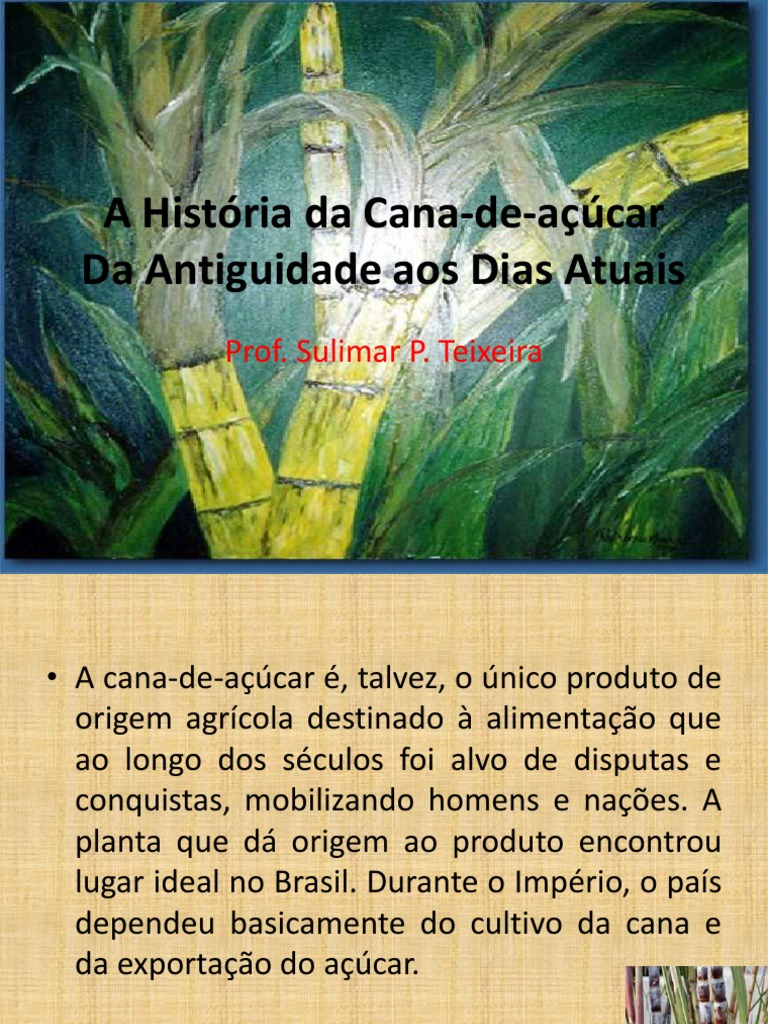 A Evolução da Cana-de-Açúcar no Brasil | PDF | Turismo