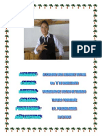 INFORME DE LA PASANTÍA ALEXANDER.docx