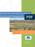 Demanda Mauri-Desaguadero.pdf