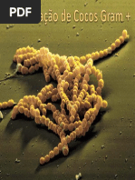 Identificacao de CG+