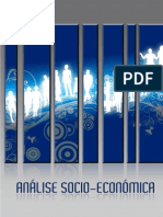 Análise Socioeconómica 2008