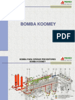 Bomba Koomey