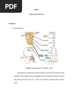 Download BAB II by Muhammad Ulil Albab SN169561595 doc pdf