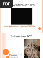 Os 5 Sentidos - TATO