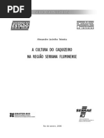 A Cultura Do Caquizeiro Na Regiao Serrana Fluminense