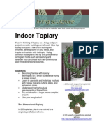 Indoor Topiary