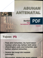 Asuhan Antenatal