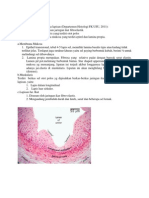 Histologi Dan Anat Ureter