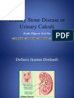 Urinary Stone Disease or Urinary Calculi