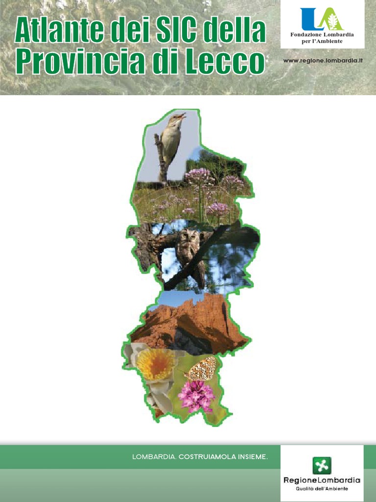 Falco Pellegrino Falco Peregrinus Juv Forum Natura