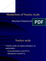 NucleotideMetabolism 2552