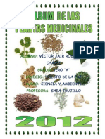 Album de Plantas Medicinales