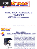 APRESENTAÇÃO DA MICRO INDÚSTRIA DE ALHO E TEMPEIROS-red