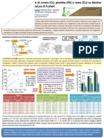 Poster Biochar - Sica 2013 