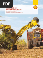 Shell Sumario de Sustentabilidade 2012