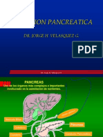 2010 Pancreas