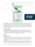 Helicobacter Pylori PDF