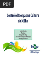 Controle de Doencas Na Cultura Do Milho