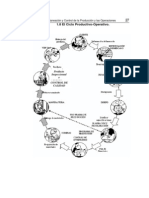 El Ciclo Productivo