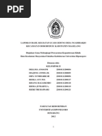 Download Laporan KELAS IBU Ngadiharjo by Risang Bagaskoro SN169745991 doc pdf